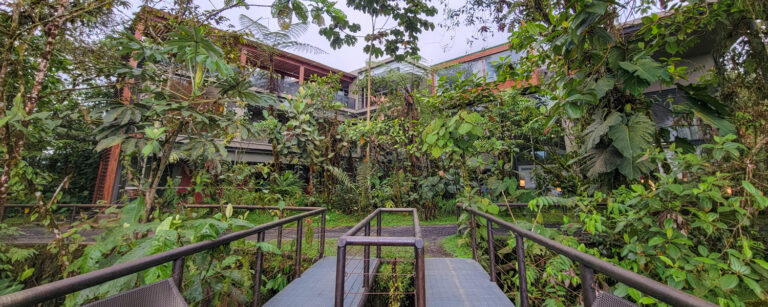 mashpi lodge ecuador