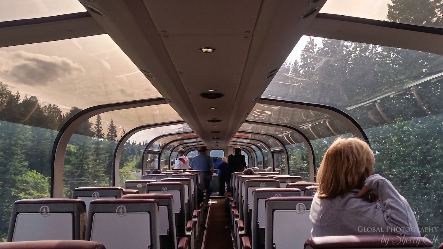 Gold Star Class Alaska Railroad