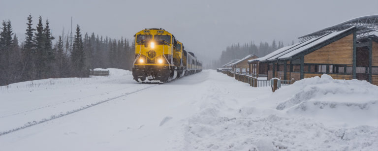 Alaska train trips