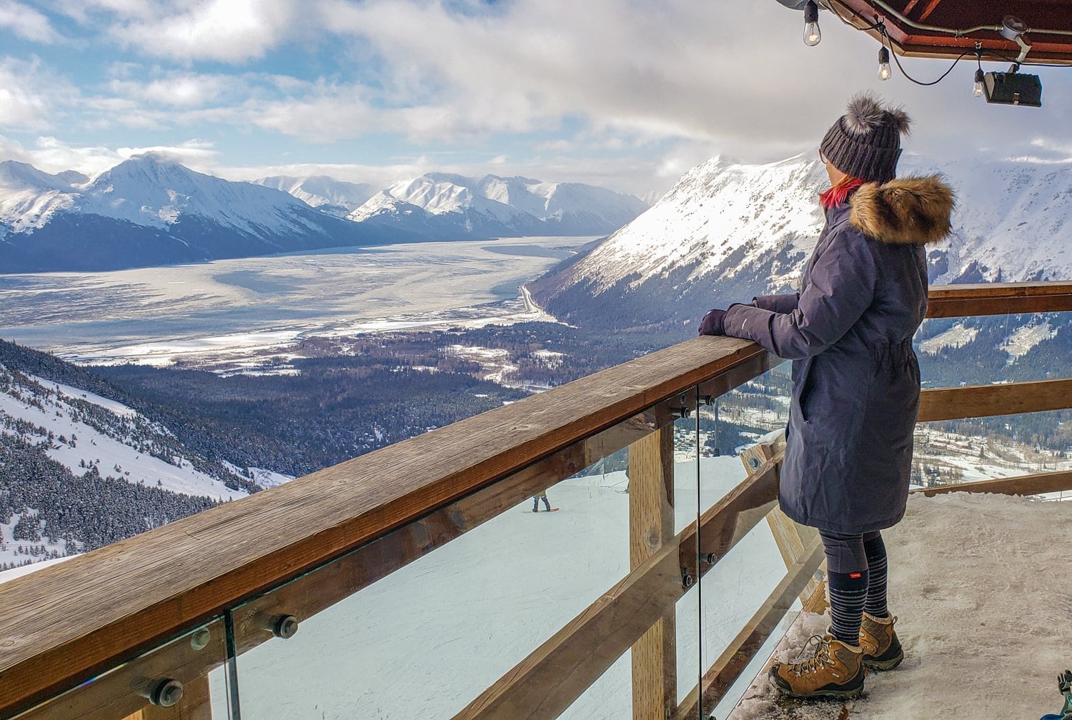 The North Face Women's Down Parka