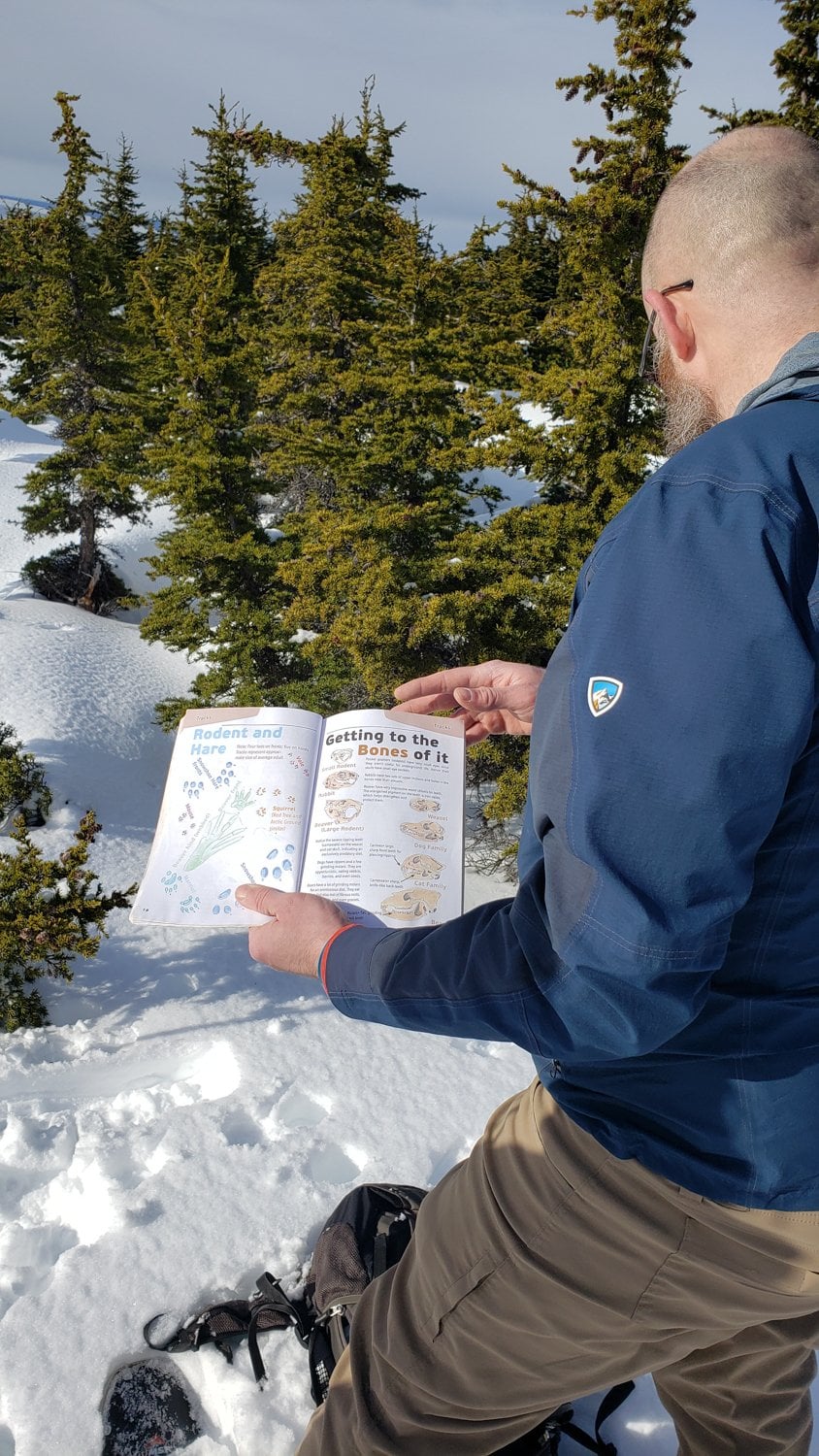 anchorage snowshoeing