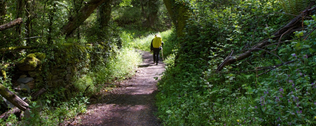 camino de santiago solo