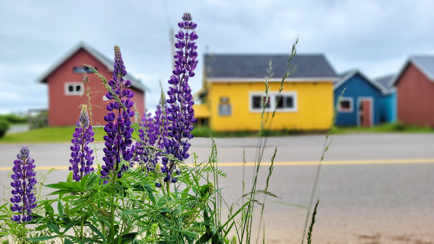 prince edward island