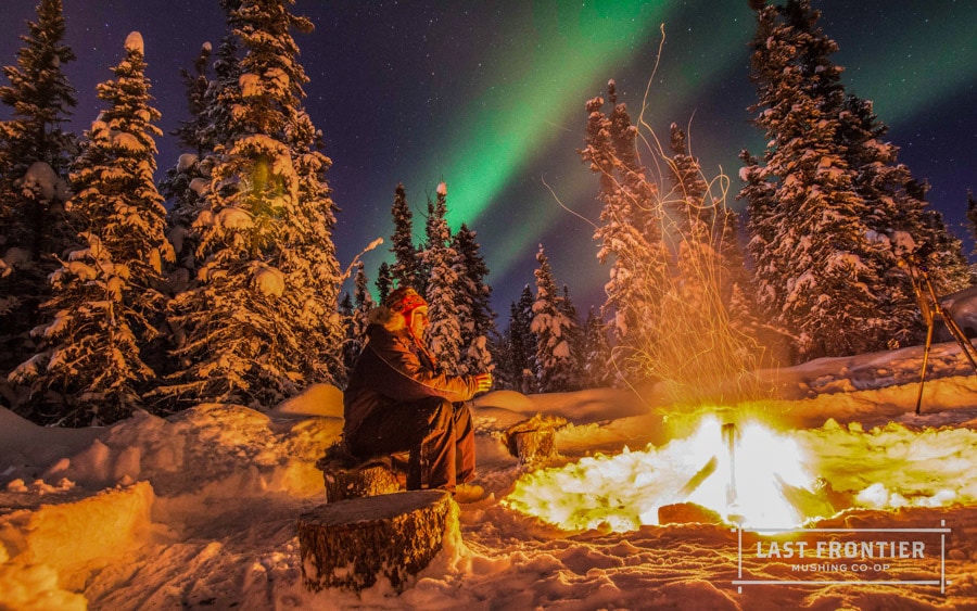 visit Fairbanks alaska northern lights vacation northern lights tours best northern lights vacation packages alaska
