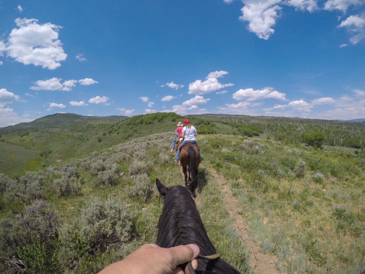 riding horse steamboat