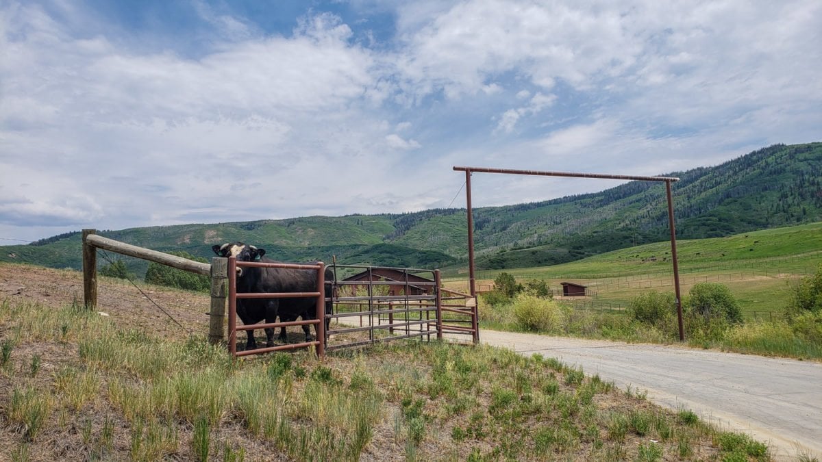 steamboat springs ranching
