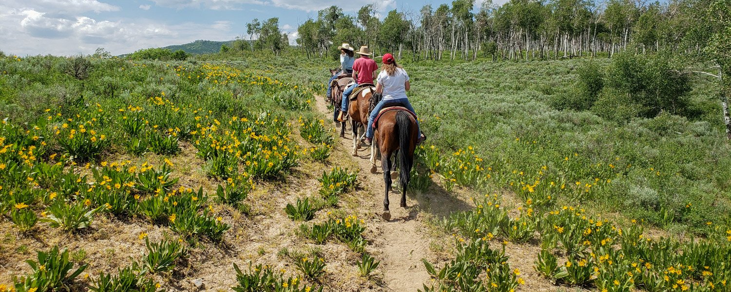 Dels Triangle 3 Ranch horse rides