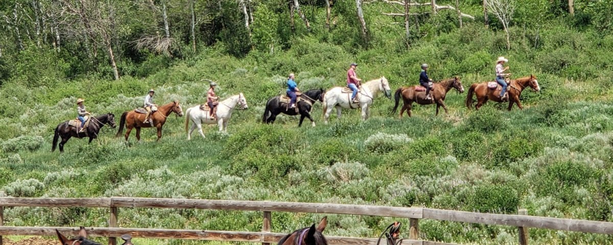 horseback riding steamboat springs