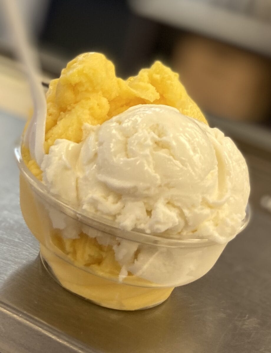 Magills Ice cream scoop denver