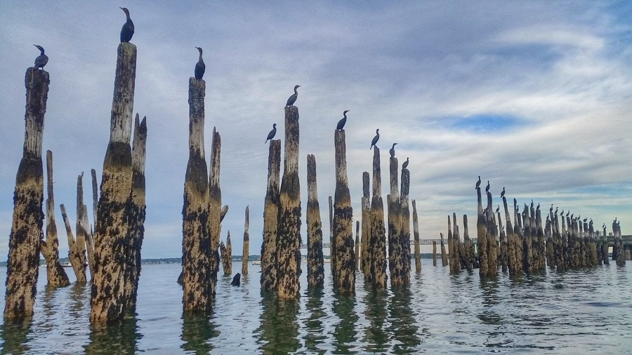 best plance to see maine portland