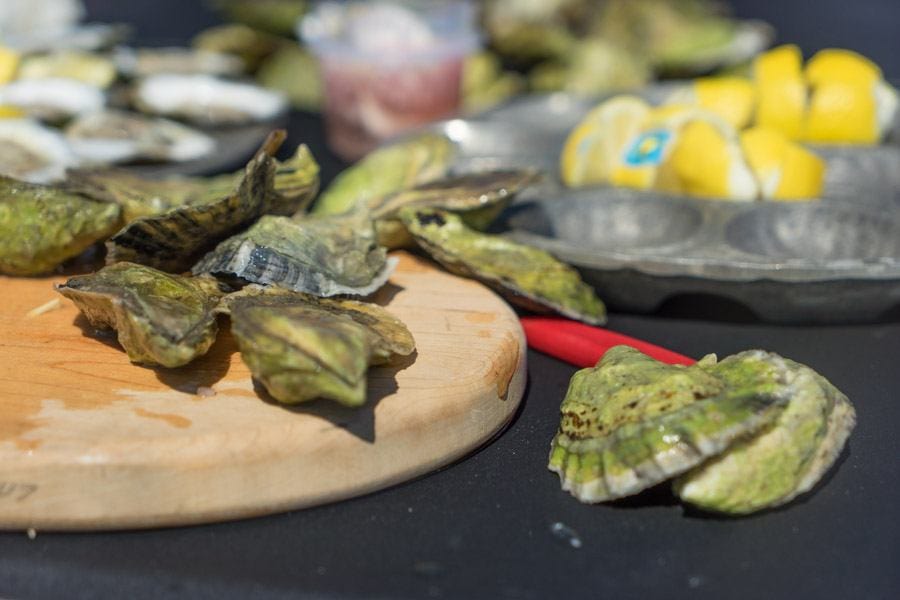 Maine Road Trip oysters