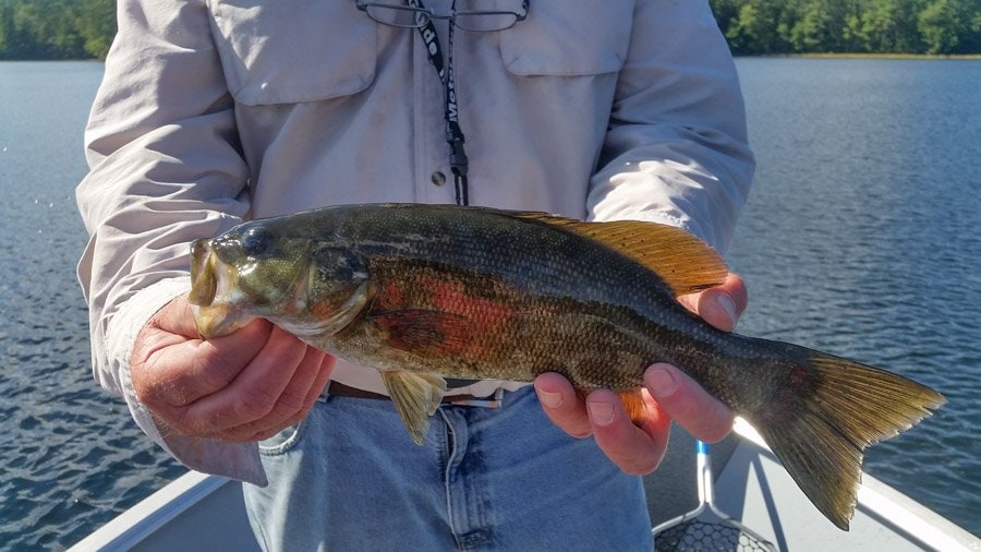 Maine Road Trip Fishing