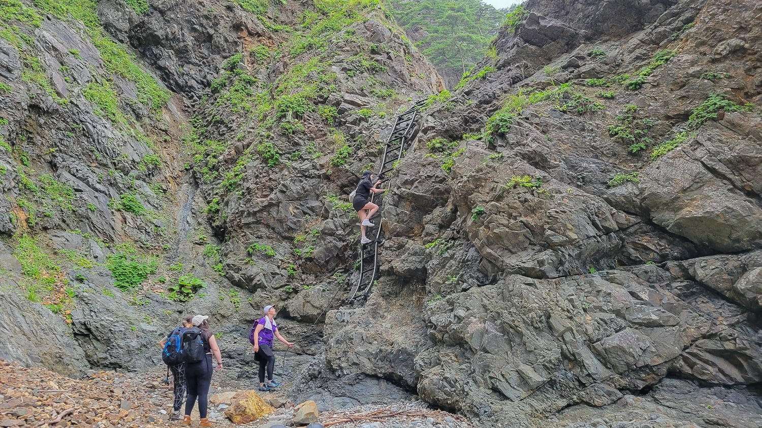 Kitayamazaki Cliffs hike Michinoku coastal trail