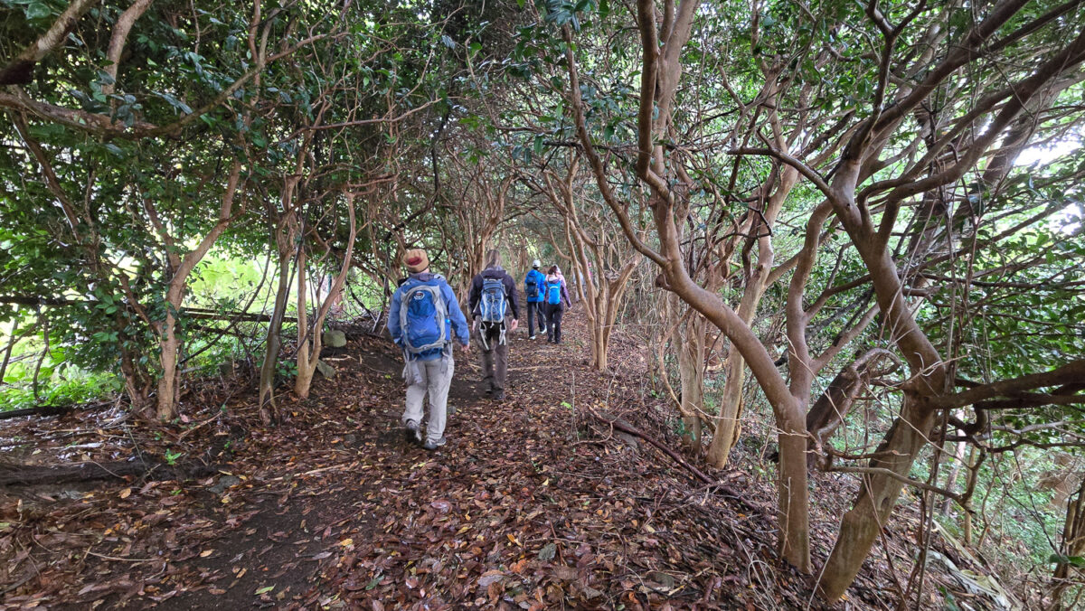 Urato island hiking michinoku coastal trail