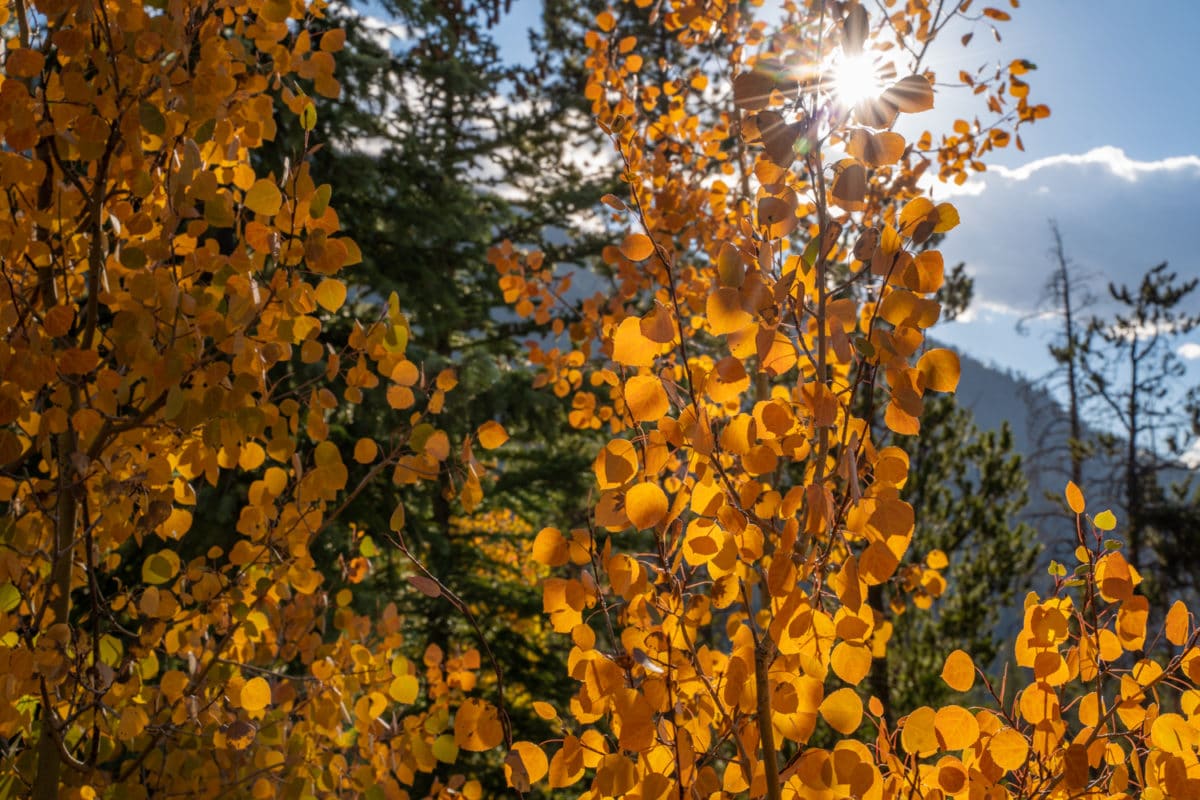 adams falls hike colorado
