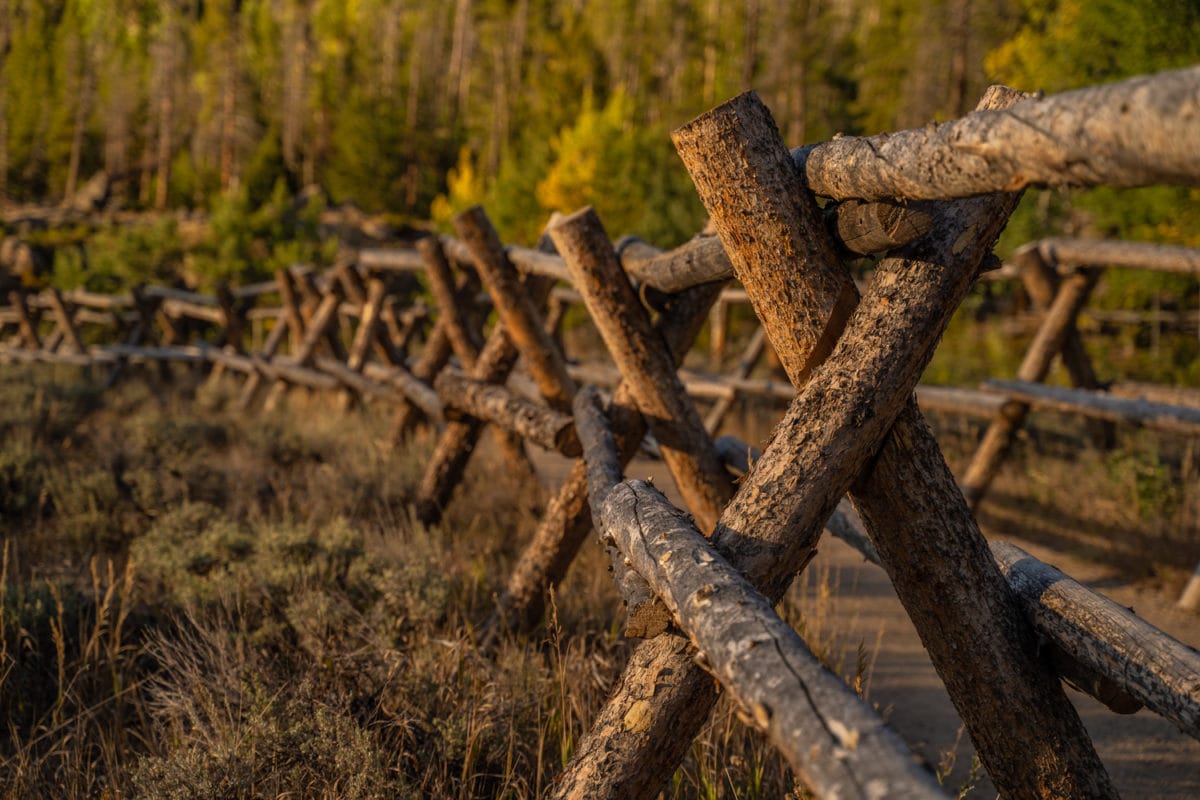 adams falls hike colorado