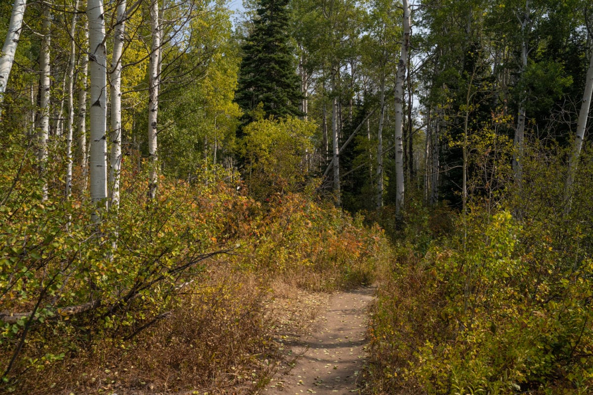 uranium mine hike steamboat