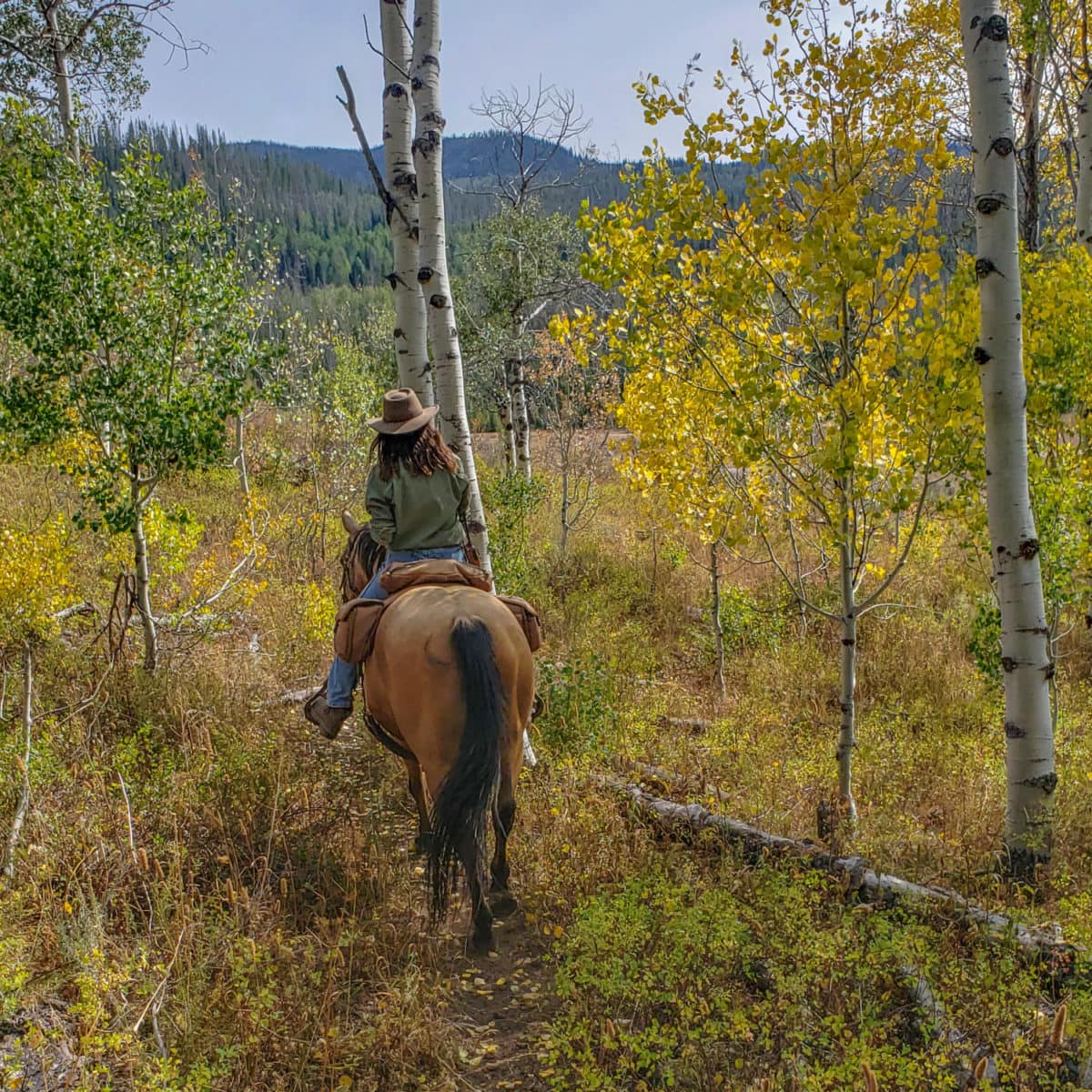 vista verde ranch steamboat colorado