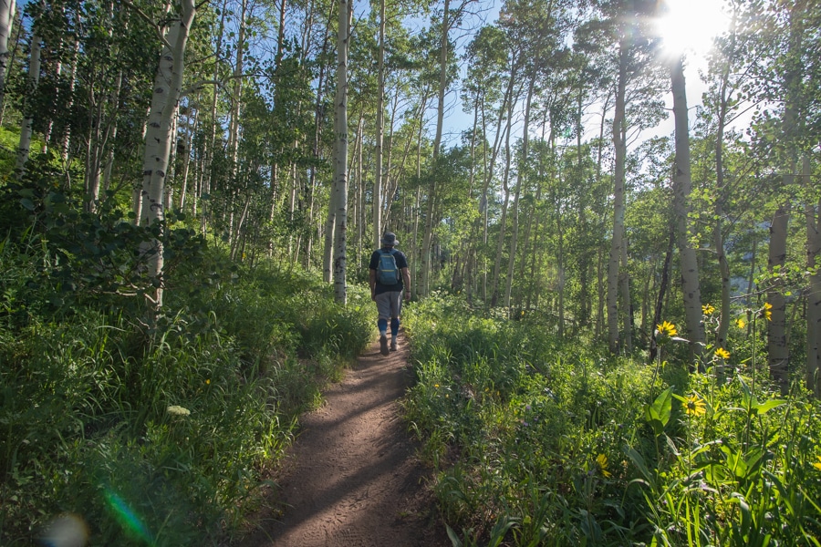 aspen groves in vail