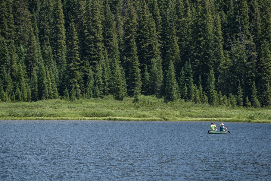 canoe piney lake
