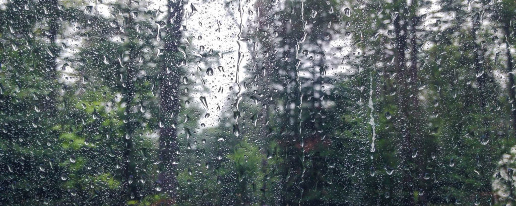 travel gear for rain