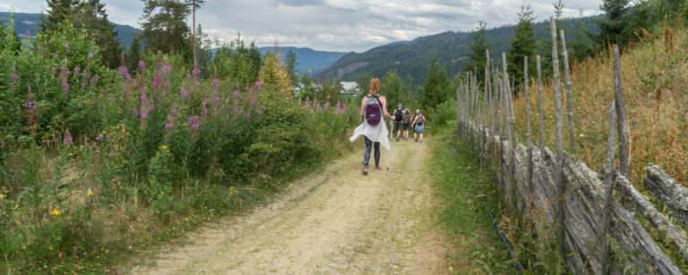 saint olav ways hike norway