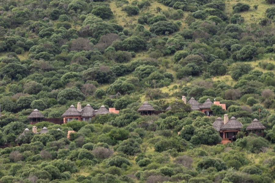 Thanda Safari Lodge