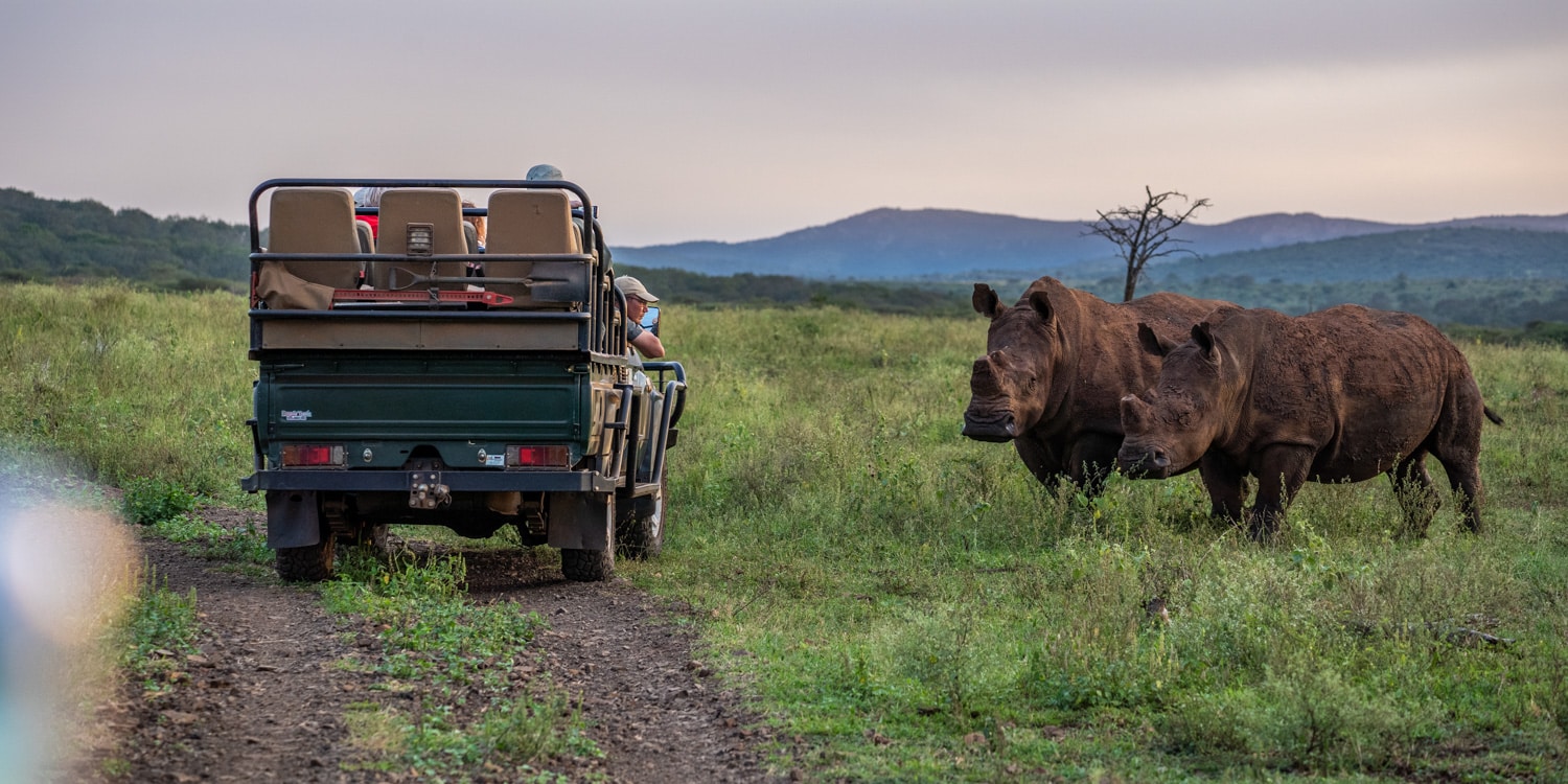 South africa safari tour