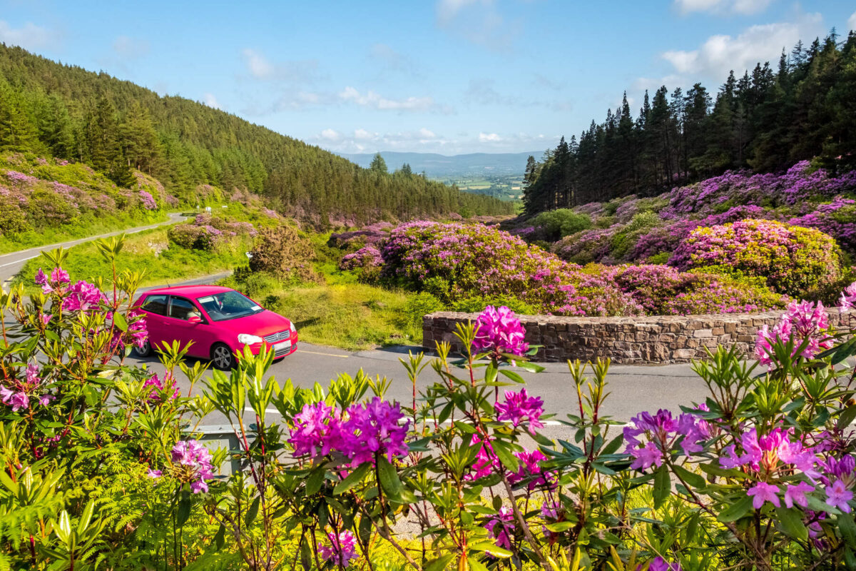 How to get around ireland