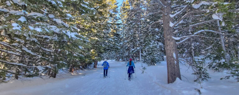 things to do in Beaver Creek