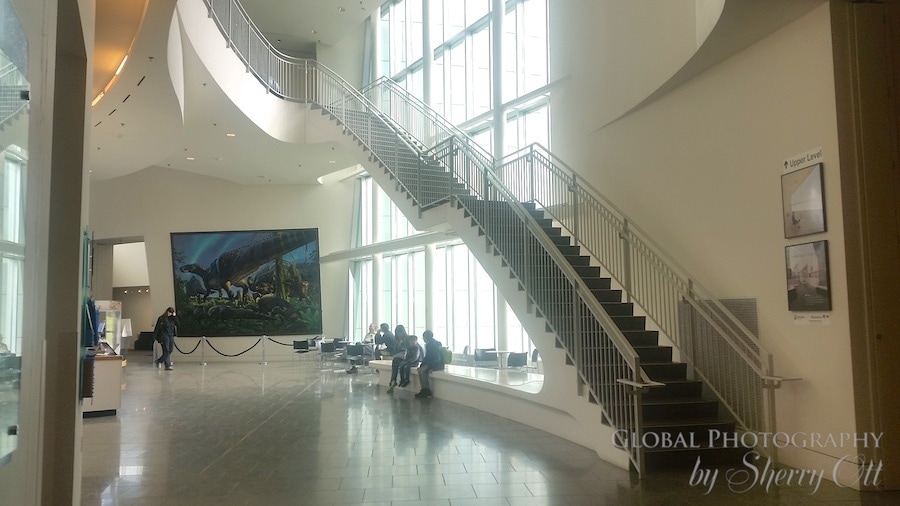 Fairbanks Museum of the North