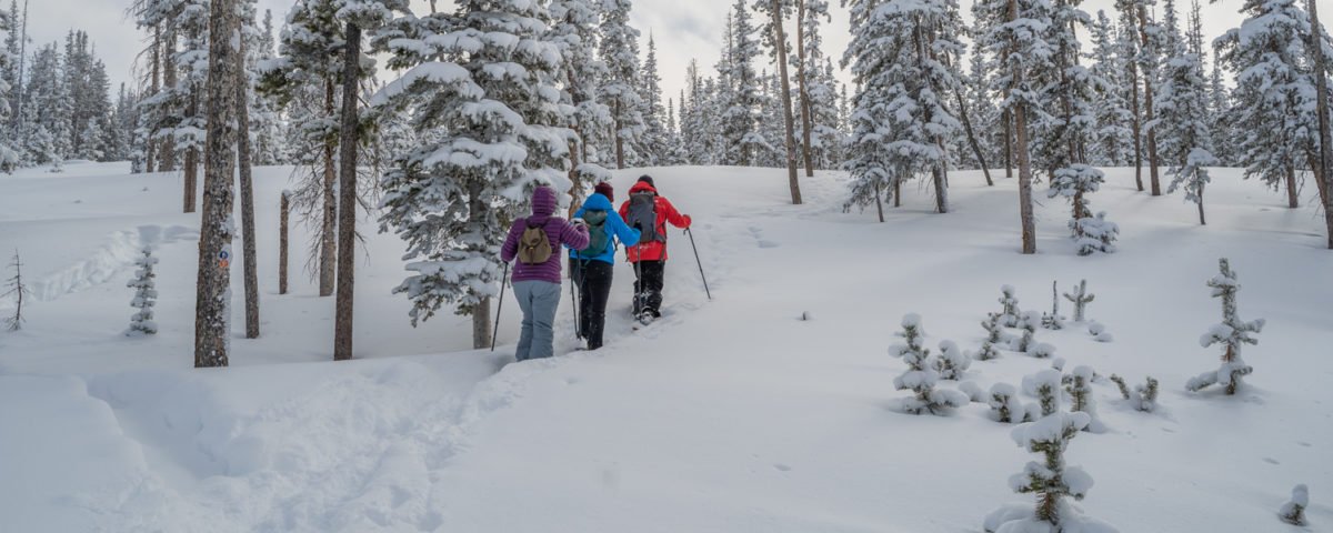 what to wear snowshoeing